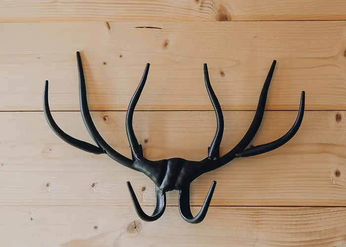 Feriegård Fontaine Aux Herbes - Humulus Lupulus *