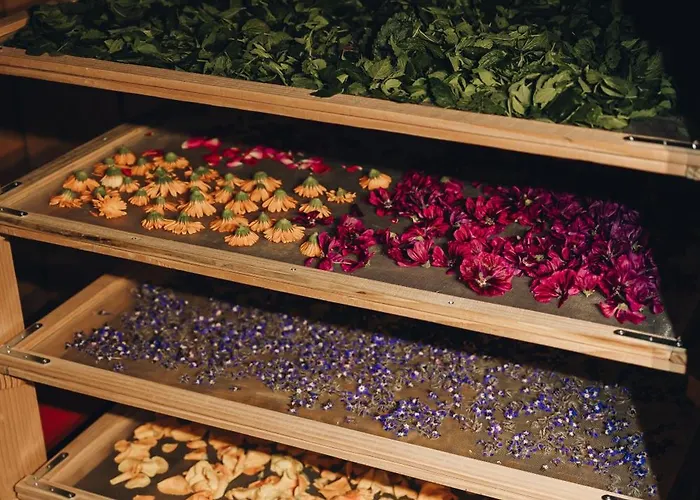 Fontaine Aux Herbes - Humulus Lupulus * Clarbec